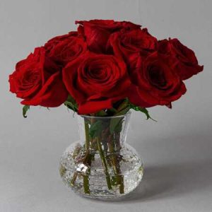 One-Dozen Red Roses in a One-of-a-Kind Vase (Styles May Vary)